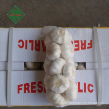 top new crop fresh natural pure white garlic supplier